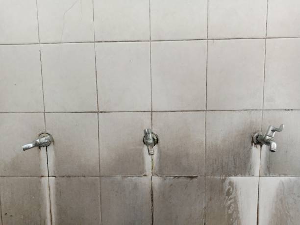 Best Mold removal after water damage  in Yeagertown, PA